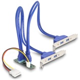 DeLOCK 61066, Estensione dell'interfaccia 
