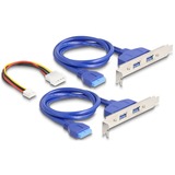 DeLOCK 61066, Estensione dell'interfaccia 