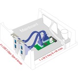 DeLOCK 61066, Estensione dell'interfaccia 