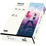 Inapa Tecno colors bianco A4, Carta 
