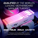 Kingston FURY KF556C40BWAK2-64, Memoria bianco
