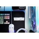 Kingston FURY KF556C40BWAK2-64, Memoria bianco