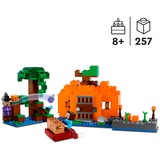 LEGO 21248 