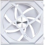 Lian Li LULI-088, Ventola bianco
