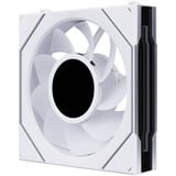 Lian Li UNI FAN SL-INF LCD FLEX 120 Wireless, Ventola bianco