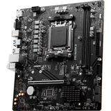 MSI 7E28-005R, Scheda madre Nero