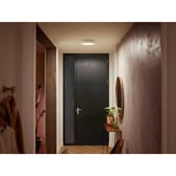 Philips Hue Plafoniera Enrave piccola, Luce LED bianco, Philips Hue White ambiance Plafoniera Enrave piccola, Lampada a soffitto intelligente, Bluetooth, Bianco, LED, Metallo, Lampadina/e non sostituibile/i