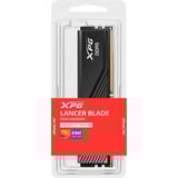 ADATA AX5U6400C3216G-SLABBK, Memoria Nero