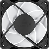 ARCTIC P12 Pro A-RGB LN, Ventola Nero