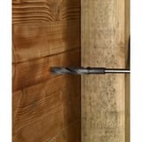 Bosch 2 608 596 347 punta per trapano Punta per trapano elicoidale 1 pz Trapano, Punta per trapano elicoidale, 1,8 cm, 600 mm, Alluminio, Metallo, Legno, 1 cm