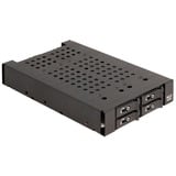 DeLOCK Telaio rimovibile da 3,5″ per 4 x M.2 NVMe SSD, Inquadramento 