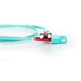 Digitus DK-2512-02/3, Cavo turchese