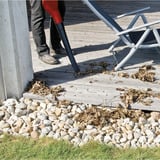 EINHELL GE-CL 18 Li E Kit soffiatore di foglie cordless 210 km/h Nero, Rosso 18 V Ioni di Litio rosso/Nero, 210 km/h, Nero, Rosso, 18 V, Ioni di Litio, 0,65 h, 2 Ah