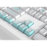 HYTE HYTE Firefly Keycap Set, copritasto bianco/Turchese