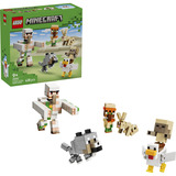 LEGO 21592, Giochi di costruzione 