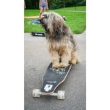 Muuwmi Lights Longboard GLOW ABEC 7 Pablo, Skateboard Nero/Verde