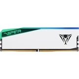 Patriot PVER532G60C42W, Memoria bianco