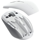 Razer Pro Click Mini mouse Ambidestro RF senza fili + Bluetooth Ottico 12000 DPI bianco/grigio, Ambidestro, Ottico, RF senza fili + Bluetooth, 12000 DPI, Bianco