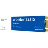 WD Blue SA510 M.2 1000 GB Serial ATA III, Disco a stato solido blu/Bianco, 1000 GB, M.2, 560 MB/s, 6 Gbit/s