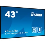 iiyama ProLite LH4360UHS-B1AG Nero