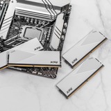 ADATA DIMM 32 GB DDR5-6000, Memoria bianco