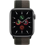 Apple Smartwatch grigio/marrone scuro