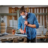 EINHELL Utensile multifunzione TC-MG 250 CE, Strumento multi funzione rosso/Nero