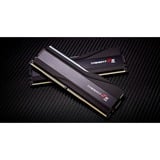 G.Skill F5-8400J4052G24GX2-TZ5RK, Memoria Nero
