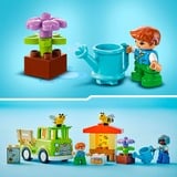 LEGO 10419, Giochi di costruzione 