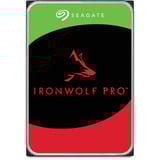 Seagate IronWolf Pro NAS 22 TB Ricondizionato, Hard-disk 