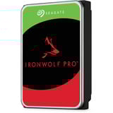Seagate IronWolf Pro NAS 22 TB Ricondizionato, Hard-disk 