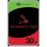 Seagate ST30000NT011 