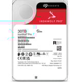 Seagate ST30000NT011 