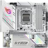 ASUS 90MB1M30-M0EAY0, Scheda madre 