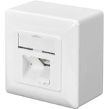 Digitus DN-9006-N presa energia RJ-45 Bianco, Scatola di giunzione bianco, RJ-45, Bianco, 80 mm, 80 mm
