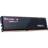 G.Skill F5-6800J3445G16GX2-RS5K, Memoria Nero
