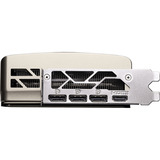 MSI V531-619R, Scheda grafica 