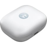 Motorola moto buds, Headset celeste