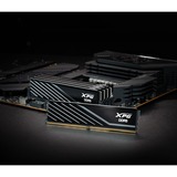 ADATA LANCER BLADE memoria 16 GB 1 x 16 GB DDR5 288-pin DIMM Data Integrity Check (verifica integrità dati) Nero, 16 GB, 1 x 16 GB, DDR5, 6000 MHz, 288-pin DIMM, Nero