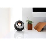 Creative 51MF1700AA000, Altoparlante PC Nero