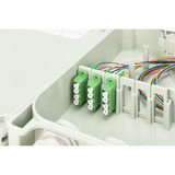 Digitus Custodia di collegamento FTTH/FTTB - equipaggiata, OS2 12 fibre, Scatola di giunzione grigio