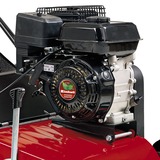 EINHELL GC-SC 4240 P scarificatore 4200 W 40 L Nero, Rosso, Arieggiatore rosso/Nero, 4200 W, 40 cm, 1200 m², 40 L, Nero, Rosso, Benzina