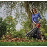 EINHELL Power X-Change Aspiratore per foglie a batteria VENTURRO 18/210, 18Volt, Soffiafoglie / Soffiante rosso/Nero