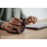 Evoluent Evoluent D Small Wireless mouse Ufficio Mano destra RF Wireless Laser 3200 DPI Nero/Argento, Mano destra, Design verticale, Laser, RF Wireless, 3200 DPI, Nero