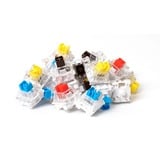 Keychron G4, Interruttore a pulsante giallo/trasparente