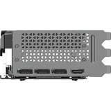 PNY GeForce RTX 5070 Ti ARGB OC, Scheda grafica 