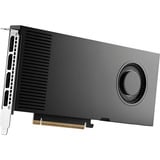 PNY NVIDIA RTX PRO 4000 Blackwell 24GB SB, Scheda grafica Bulk