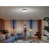 Philips Hue Lampada da soffitto White Ambiance Enrave L, Luce LED Nero