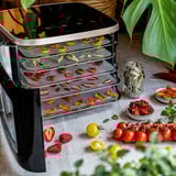 Rommelsbacher Mini essiccatore DA 450, Macchina di essicazione accaio/Nero