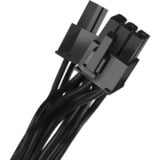 SilverStone HELA 850R Platinum, Alimentatore PC Nero